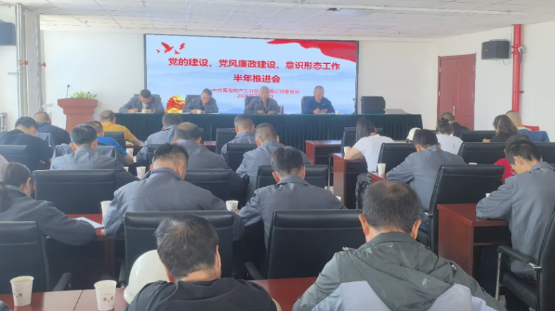 工投公司黨委召開黨的建設(shè)、黨風(fēng)廉政建設(shè)、意識形態(tài)工作半年推進會